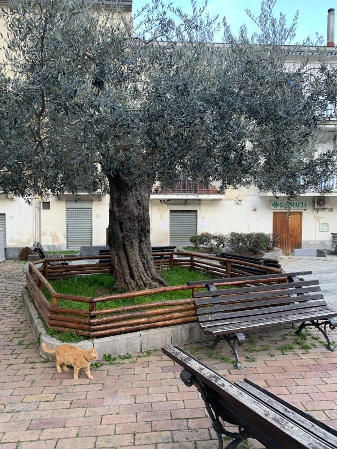 Olevano sul Tusciano B&B Il Vicoletto מראה חיצוני תמונה